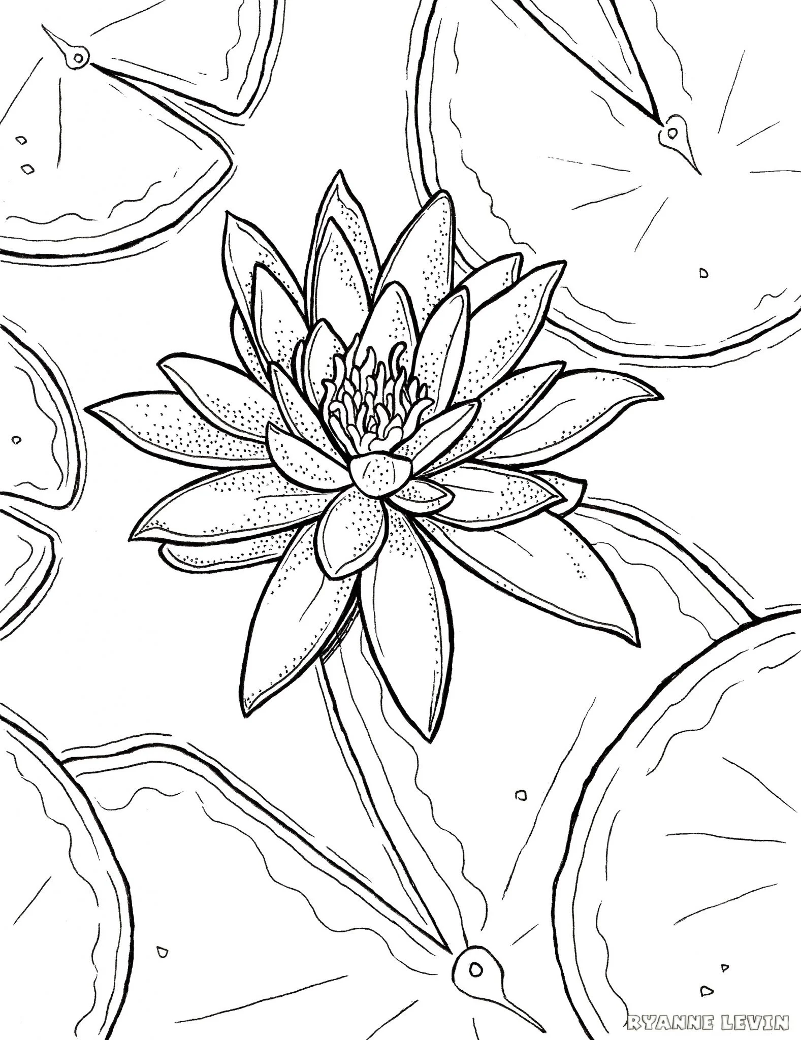 https://ryannelevin.com/wp-content/uploads/2016/01/waterlily-coloring-page-e1452894139864.jpg.webp