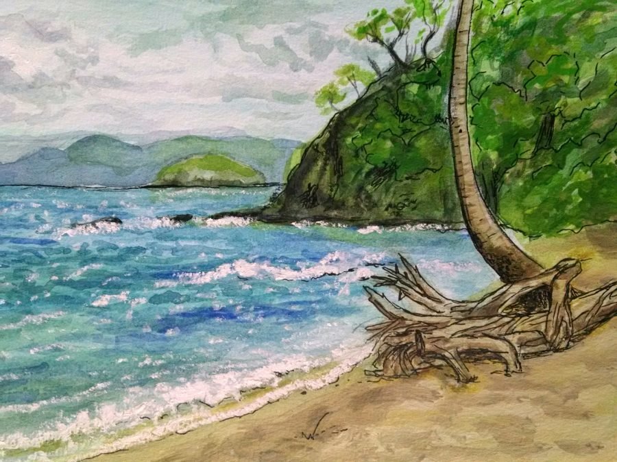 Beach at Guanacaste Costa Rica