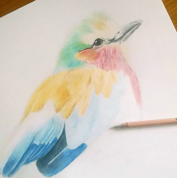 ryanne-levin-first-sketchbox-art-project