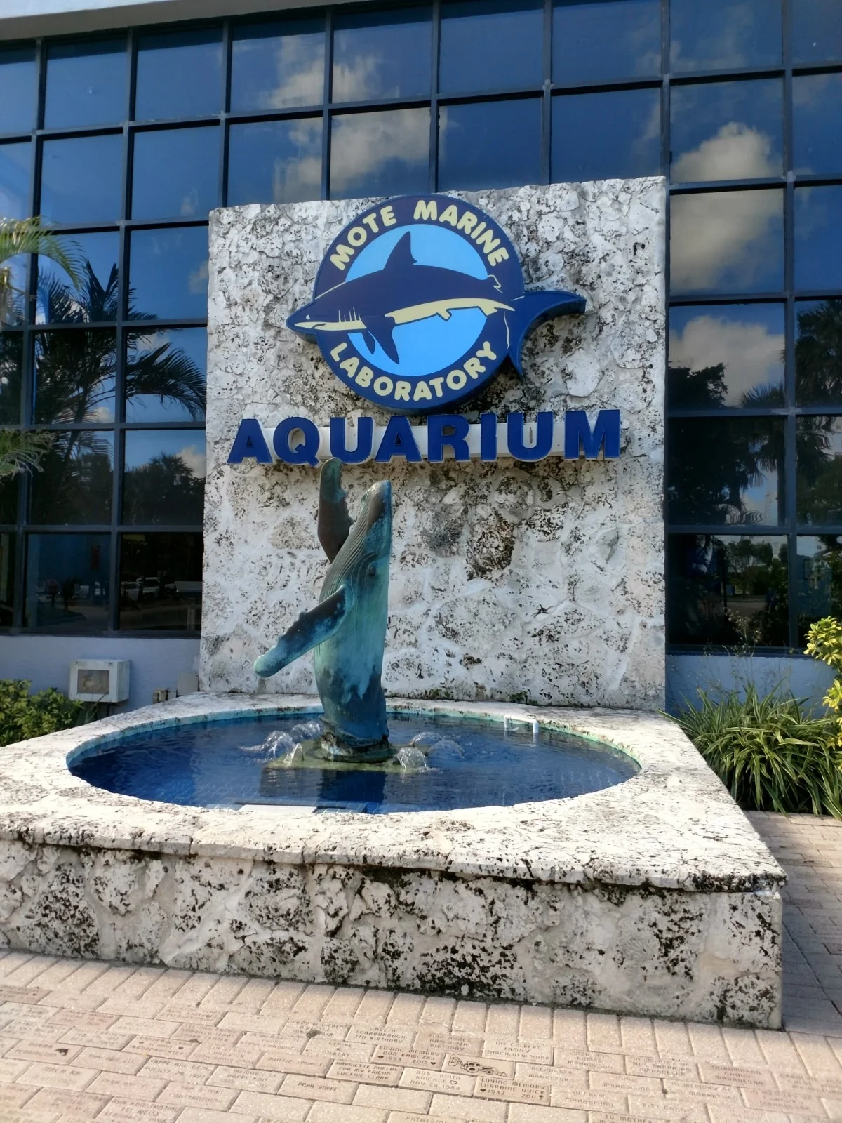 IMG_20180210_105906524_HDR