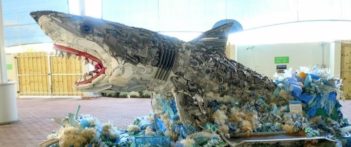 Fairhaven Giant Shark Sculpture Story