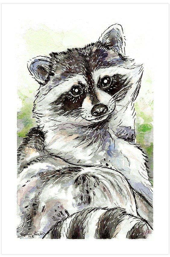 Relaxing-Raccoon-full-original-ryanne-levin-art2
