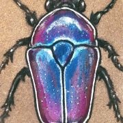 Flower Beetle on Sandstone