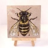 honey-bee-on-sandstone-ryanne-levin-art