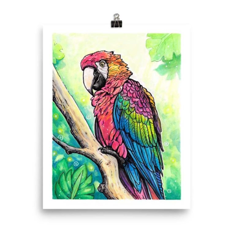 Scarlet Macaw in Jungle 8×10 Print