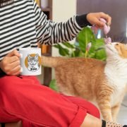 cat custom pet portrait mug woman playing with cat