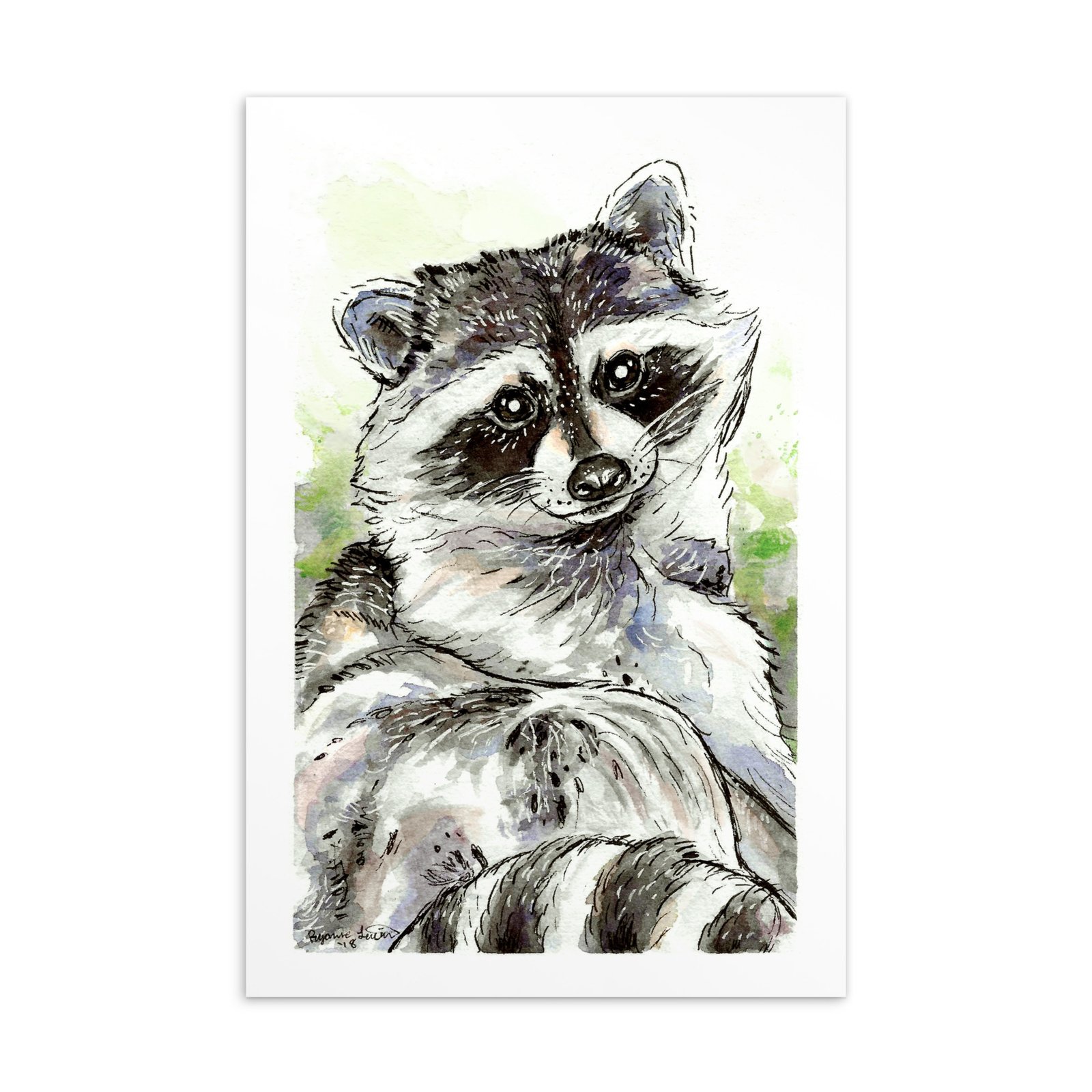 Relaxing Raccoon 4×6 Mini Glossy Print