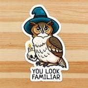 you-look-familiar-owl-wizard-halloween-sticker-feature_ryanne-levin-art