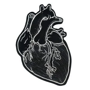 black-and-white-anatomical-heart-artwork-ryanne-levin-art-wooden-panel.png