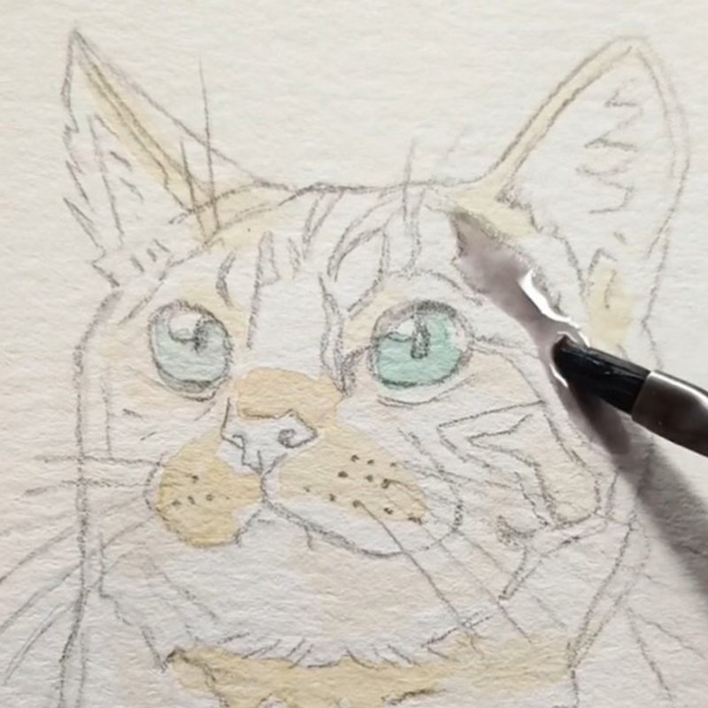watercolor-pet-portrait-cat-process-feature-square