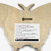 Luna-Moth-trekell-panel-back_ryanne-levin-art