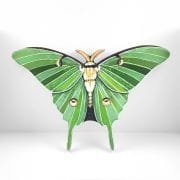 Luna-Moth-trekell-panel-main3_ryanne-levin-art