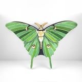 Luna-Moth-trekell-panel-main3_ryanne-levin-art