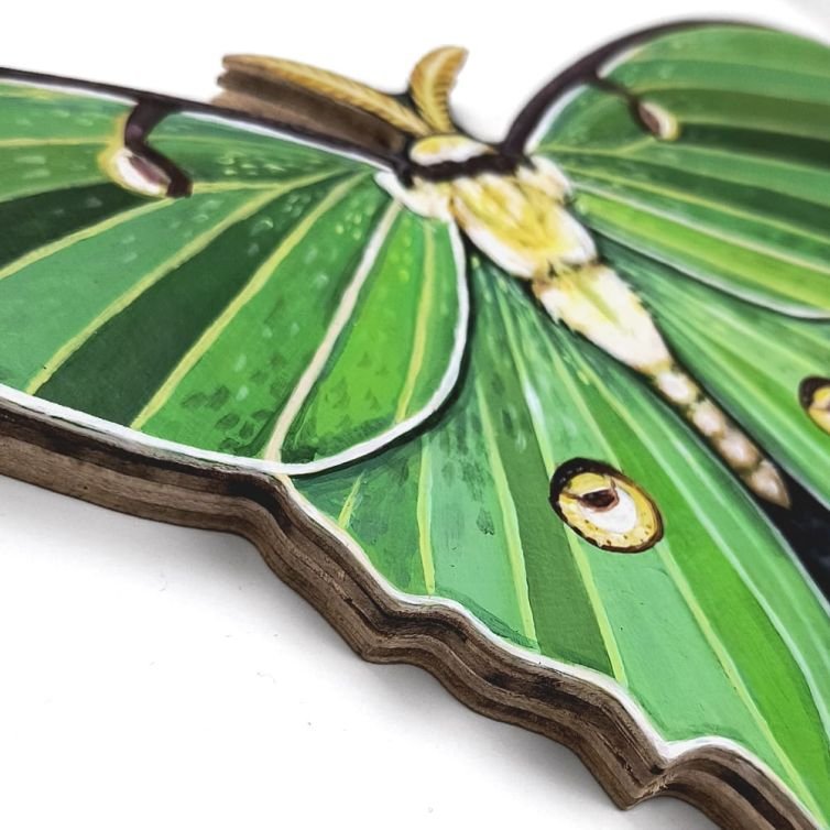 Luna Moth Panel