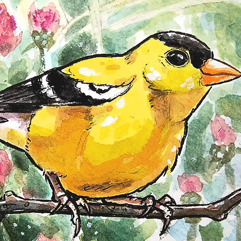 american-golfinch-thistles-details_ryanne-levin-art