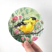 american-golfinch-thistles-hand_ryanne-levin-art