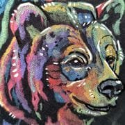 aurora-borealis-grizzly-bear-details_ryanne-levin-art