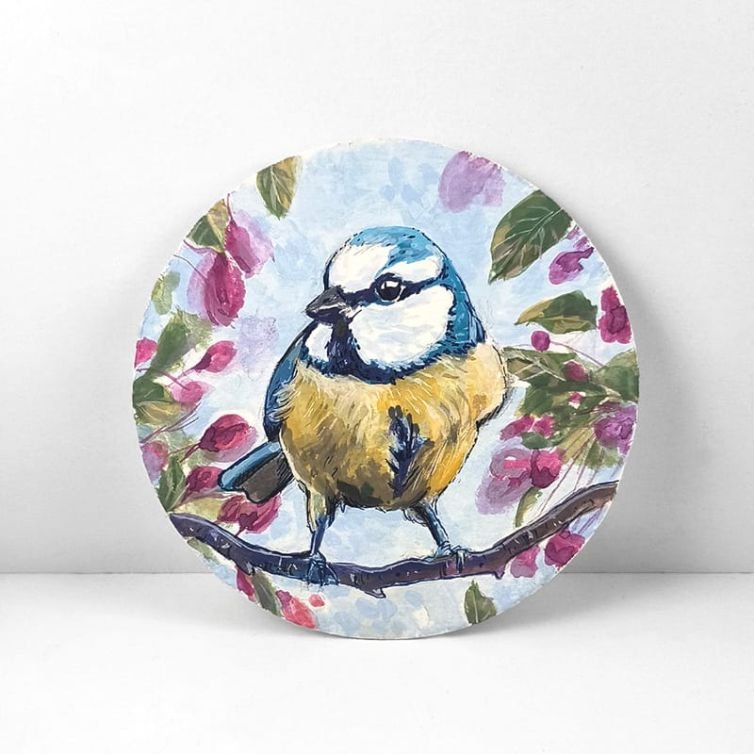 Eurasian Blue Tit