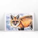 snowy-day-fox-watercolor-main2_ryanne-levin-art