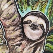 three-toed-sloth-in-tree-details_ryanne-levin-art