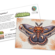 Oct-25-horizontal-promo-both_ryanne-levin-art