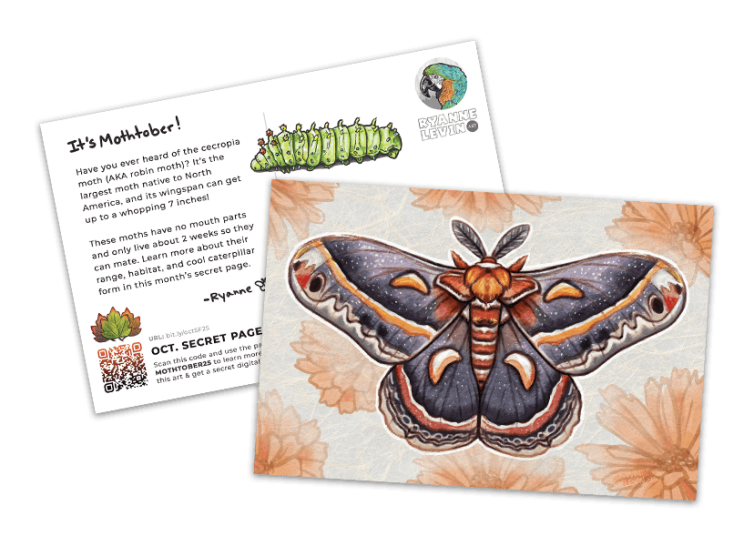 Monthly Art Postcard Subscription