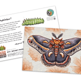 Oct-25-horizontal-promo-both_ryanne-levin-art