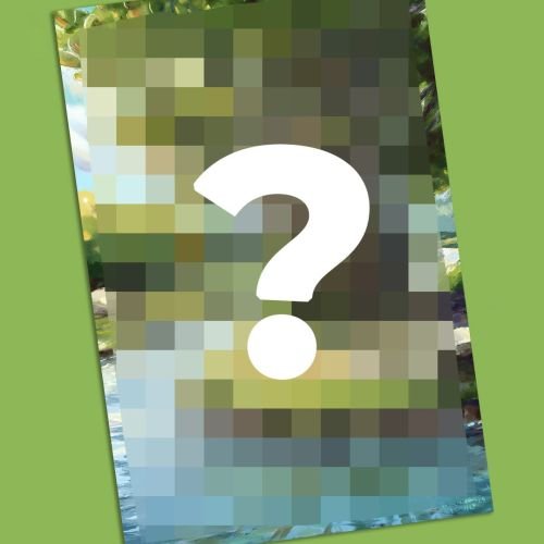 Nov-2025-Secret-Blog