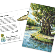 Nov-2025-salmon-of-knowledge-feature