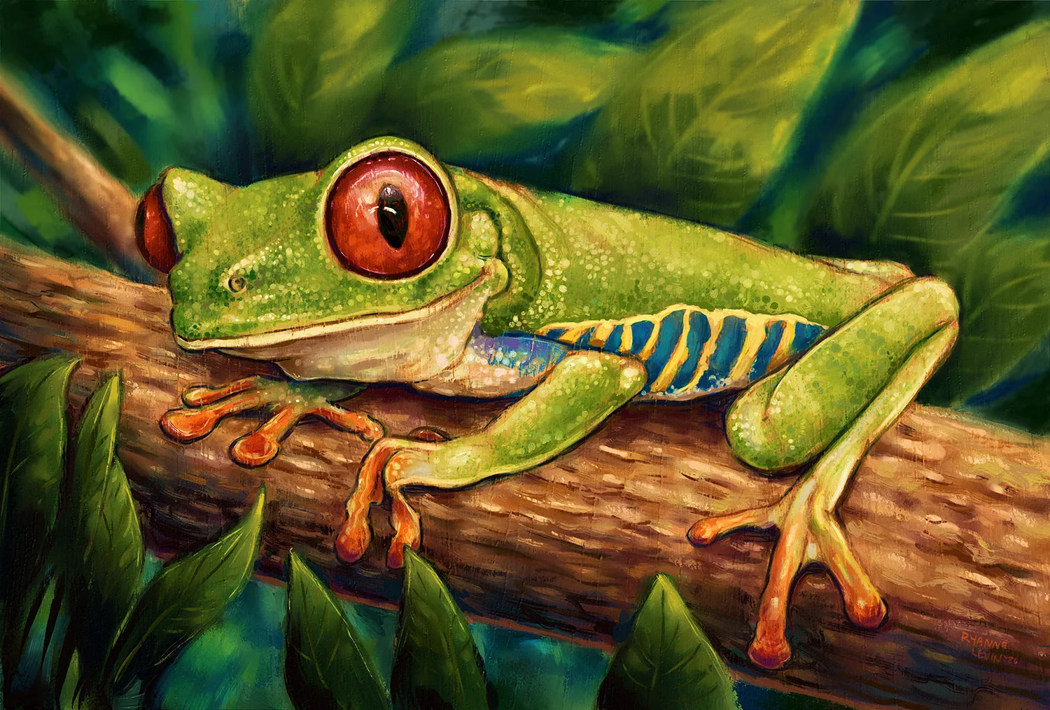 Red-Eyed-Tree-Frog-painting_Socials_Ryanne-Levin_Art Red-Eyed-Tree-Frog-painting_Socials_Ryanne-Levin_Art